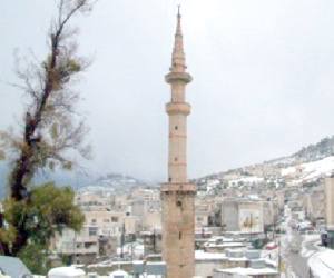 الدفاع المدني يحبط محاوله انتحار سيدة وإسقاط أطفالها عن سطح عماره في اربد .. شاهد الفيديـــو!!!!
