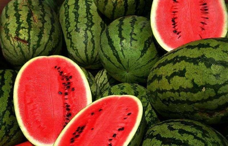 لا يصدق ..  60 دينارا ثمن بطيخة في الأردن !!