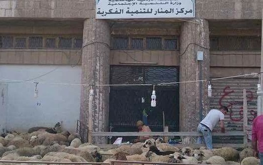 توضيح من التنمية حول الصورة المنتشرة لحظيرة أغنام أمام أحد فروعها