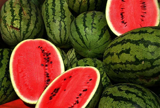 أسعار البطيخ تتهاوى  ..  والمزارع يتكبد الخسائر !!