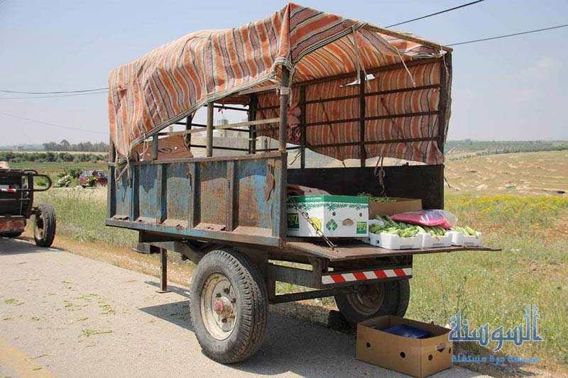 بيع محاصيل زراعية على قارعة الطريق