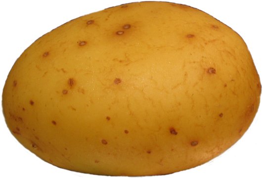 علماء: البطاطا تكافح السرطان بعد تعرضها لصدمات كهربائية