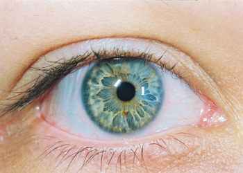 زيت السليكون يعالج سرطان العين