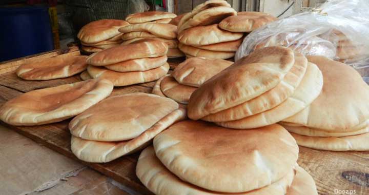 ضبط حشرات ومواد تالفة في مخبز بالمفرق