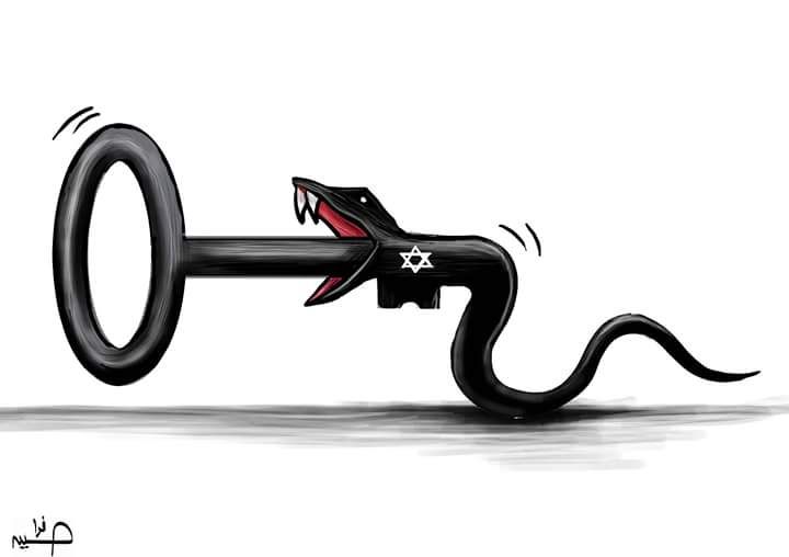 حق العودة