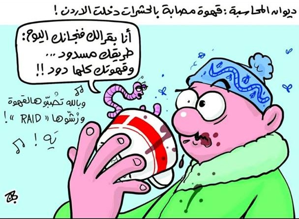 تقرير ديوان المحاسبة 