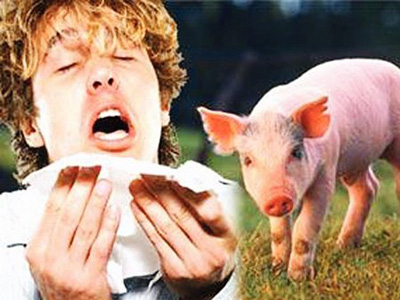 اول وفاة بانفلونزا الخنازير في الاردن 