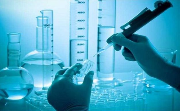  أغرب 5 دراسات علمية في 2019 ونتائج لا تُصدّق ! 