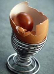 دجاجة تنتج بيضة داخل بيضة