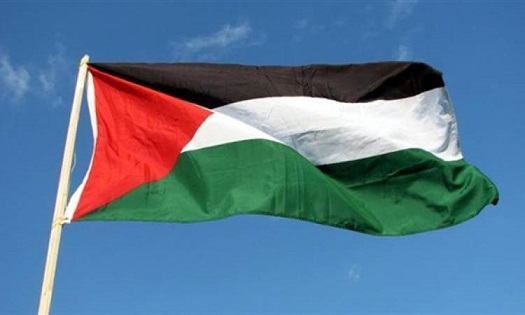 عدد الإصابات بالسلالة البريطانية المتحولة في فلسطين