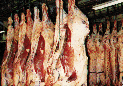 حماية المستهلك تتهم الزراعة برعاية احتكار سوق اللحوم