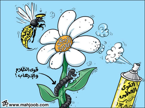 زهرة الربيع العربي 