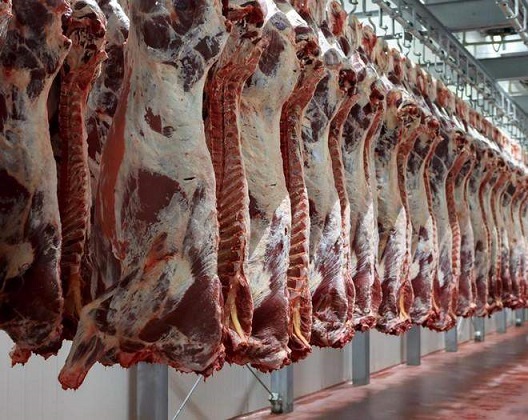إغلاق ملاحم وتحويل أصحابها للحاكم الاداري
