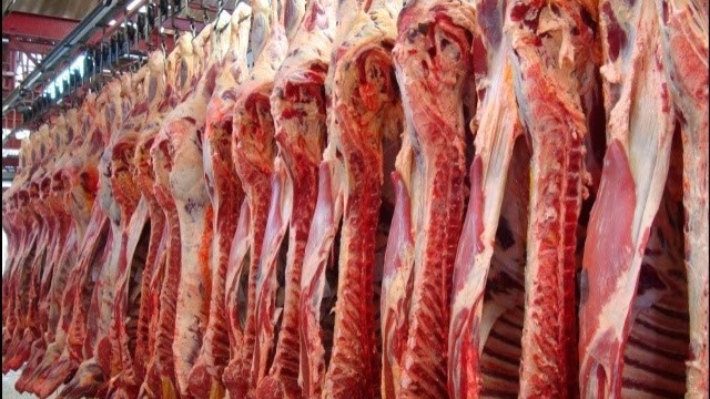 الغذاء والدواء تضبط 1600 كغم لحوم فاسدة
