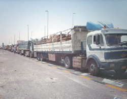 سائقو شاحنات يغلقون شارعا في الطفيلة