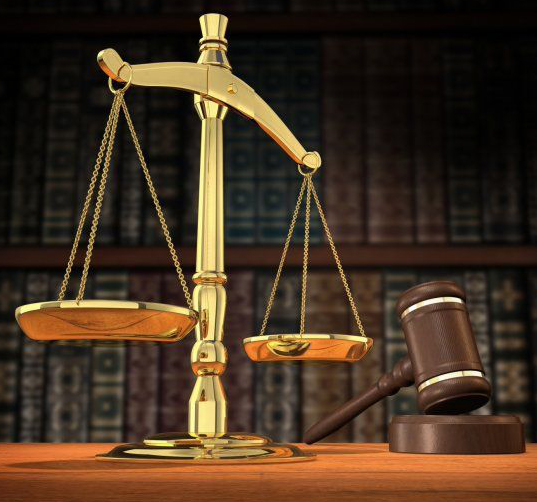 إحالة الباص السريع وملفات 16 شركة إلى النائب العام 