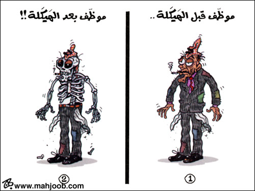 هيكلة الرواتب