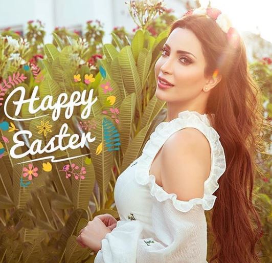 شاهد نسرين طافش بإطلالة ساحرة والجمهور مثل الأميرات! (صور) 1