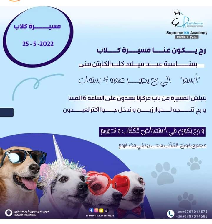 إعلان مسيرة الكلاب في عبدون 